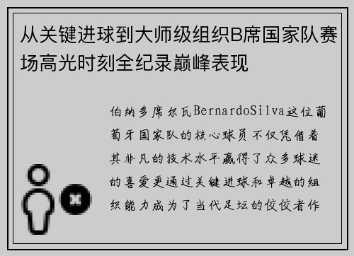 从关键进球到大师级组织B席国家队赛场高光时刻全纪录巅峰表现